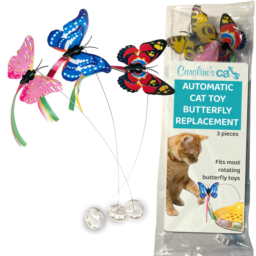 Caroline's Cats Libellule remplaçante, résistance durable pour chats actifs.