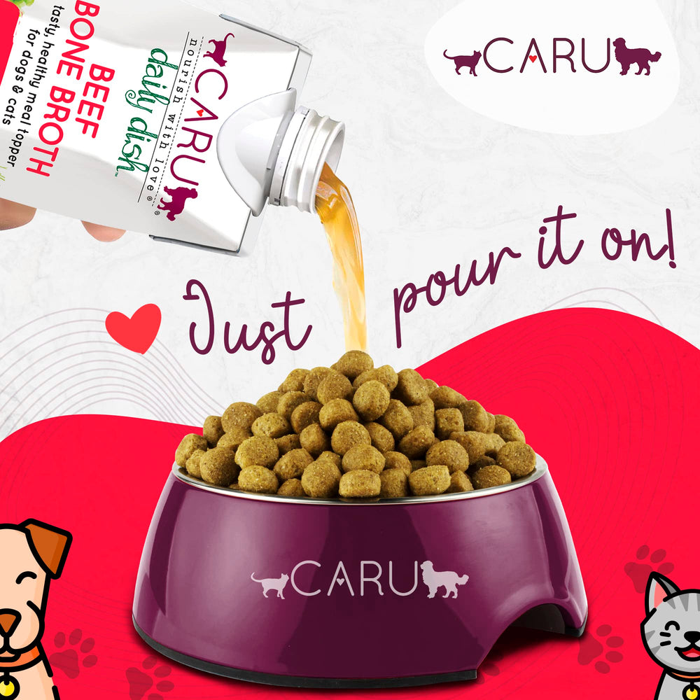 Caru Daily Dish – animaux qui mangent bouillon, expérience gustative attrayante.