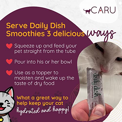 Caru Daily Dish Chicken Smoothies, chat-dans-bol; idée de repas hydratant et délicieux