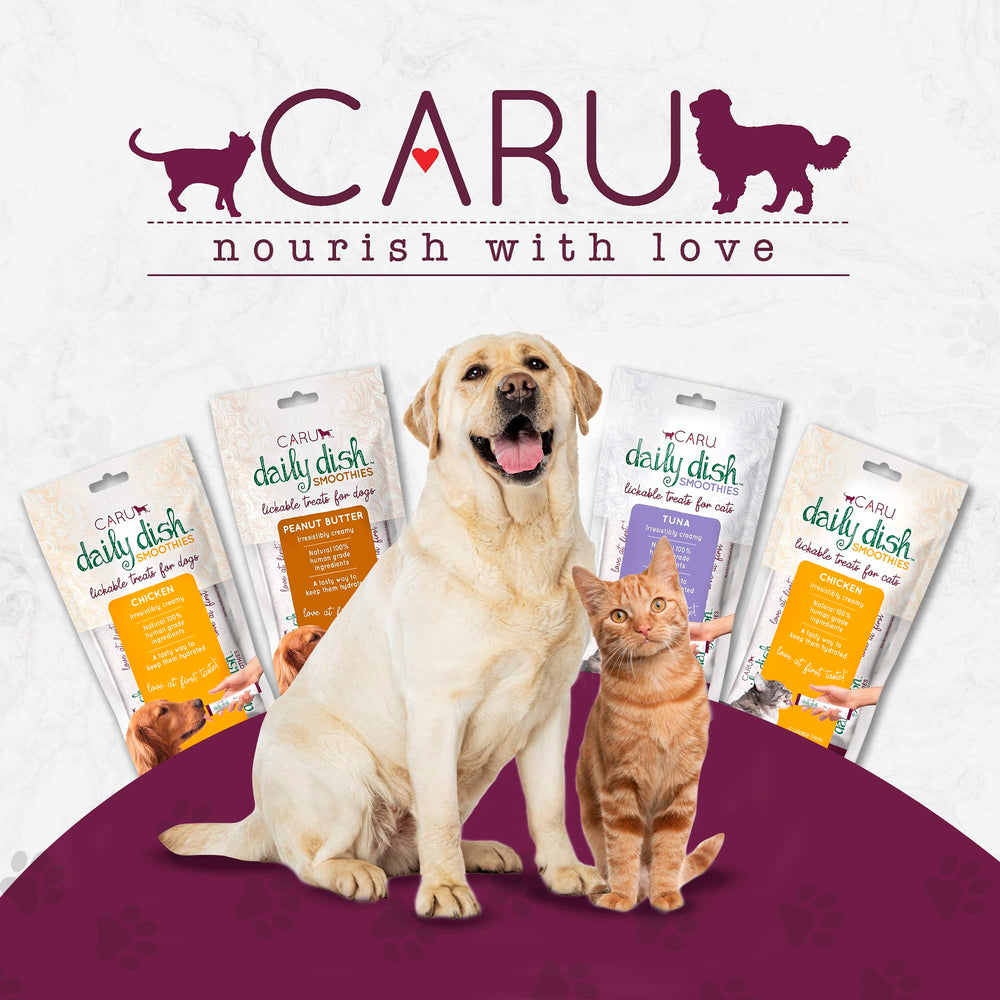 CARU Daily Dish Smoothies - ingrédients naturels poulet, sans additifs.