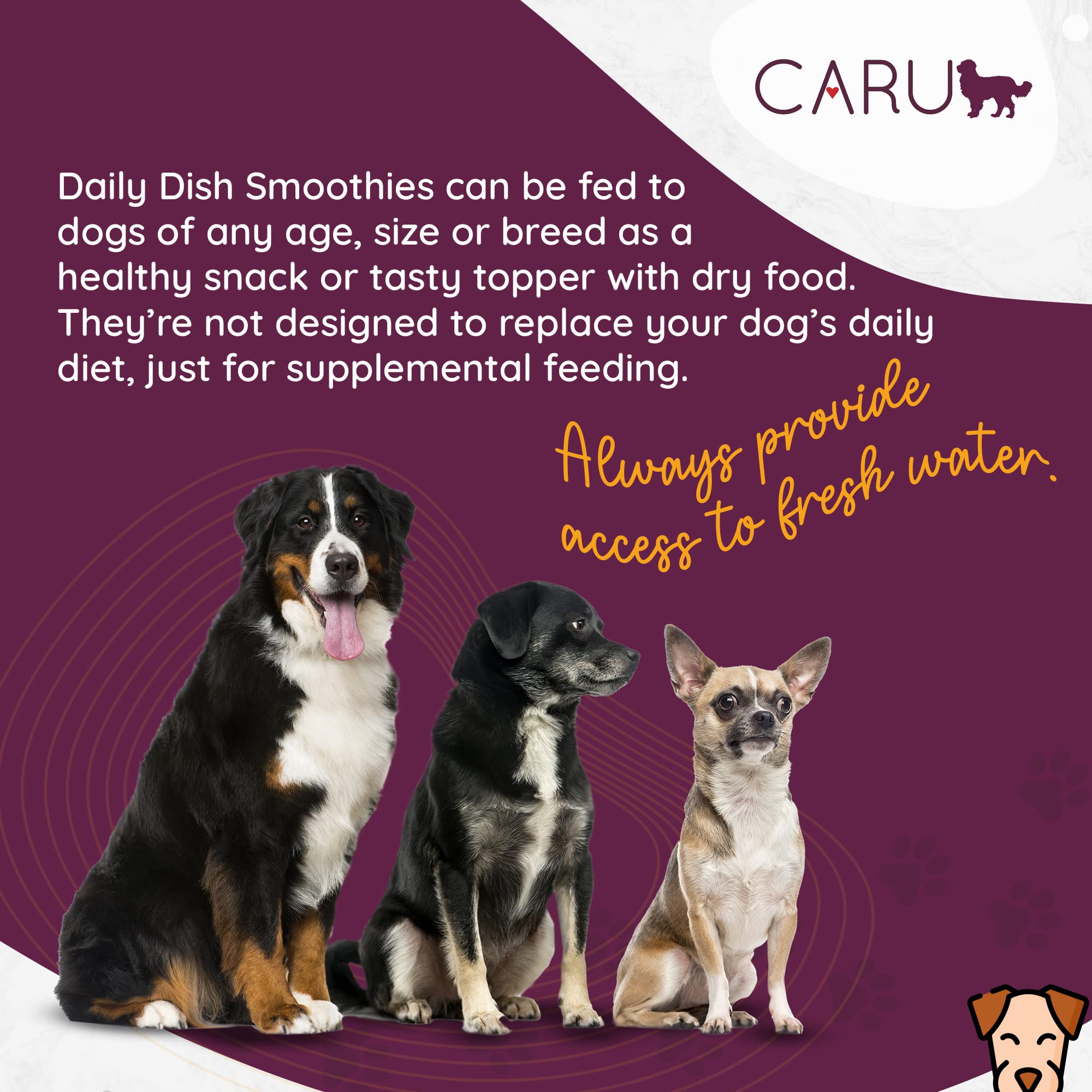 CARU Daily Dish Smoothies - tube poulet sur tapis-de-lechage, plaisir interactif.
