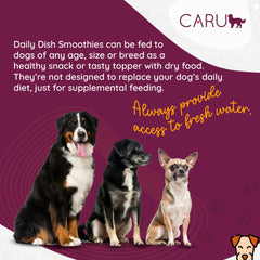 CARU Daily Dish Smoothies - tube poulet sur tapis-de-lechage, plaisir interactif.