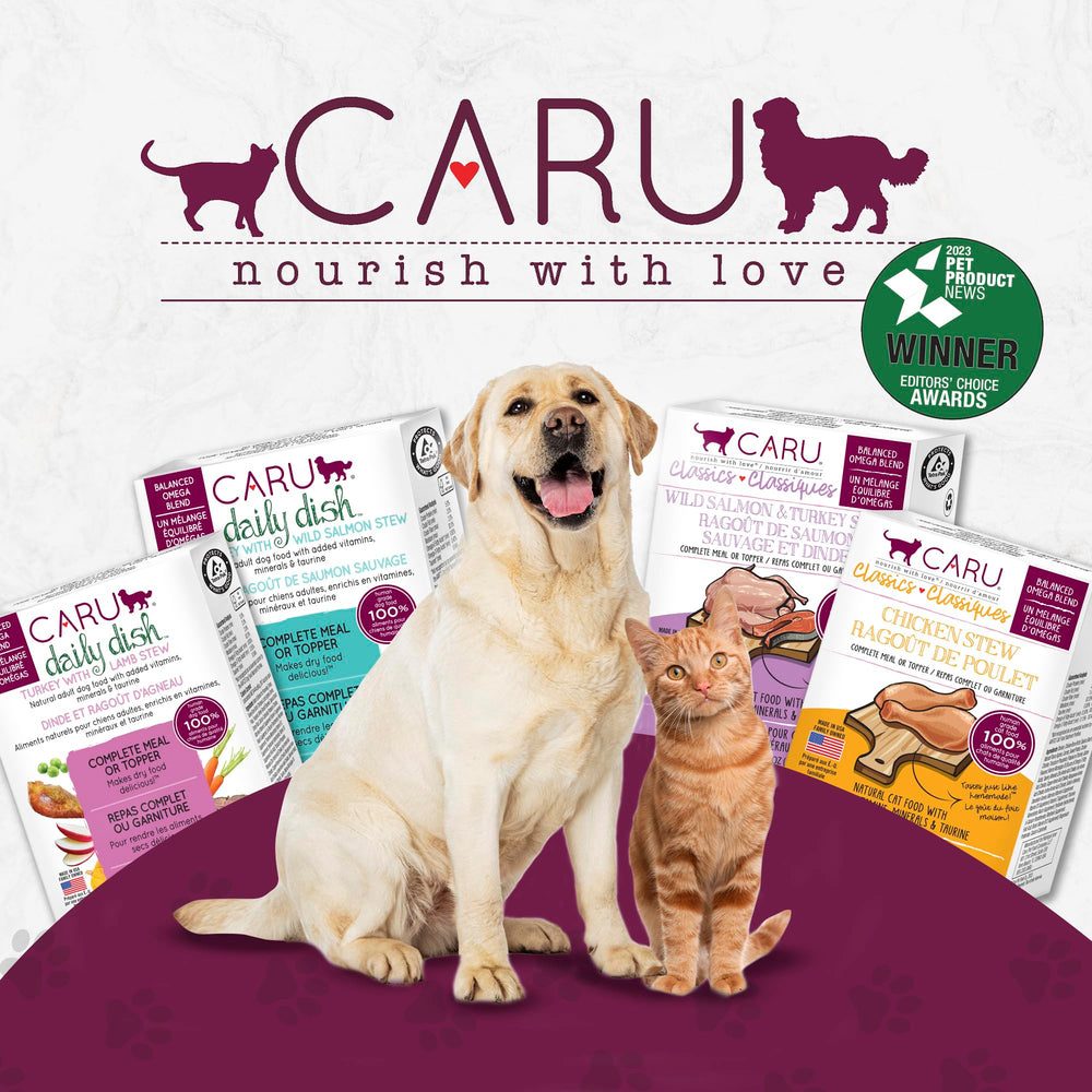 Caru Daily Dish - emballage recyclable et sans BPA, choix responsable pour chien.