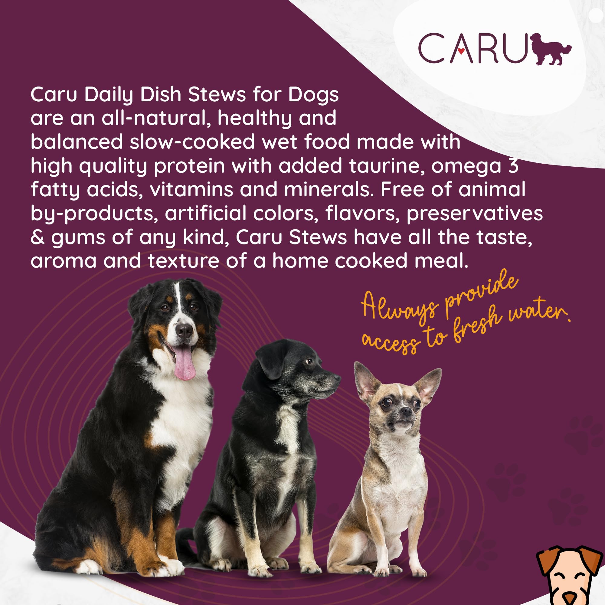 Caru Daily Dish - recette sans colorants ni arômes artificiels.