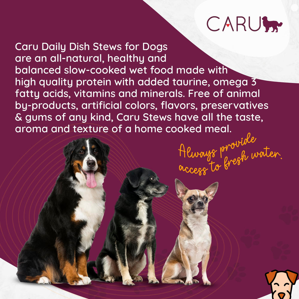 Caru Daily Dish - recette sans colorants ni arômes artificiels.