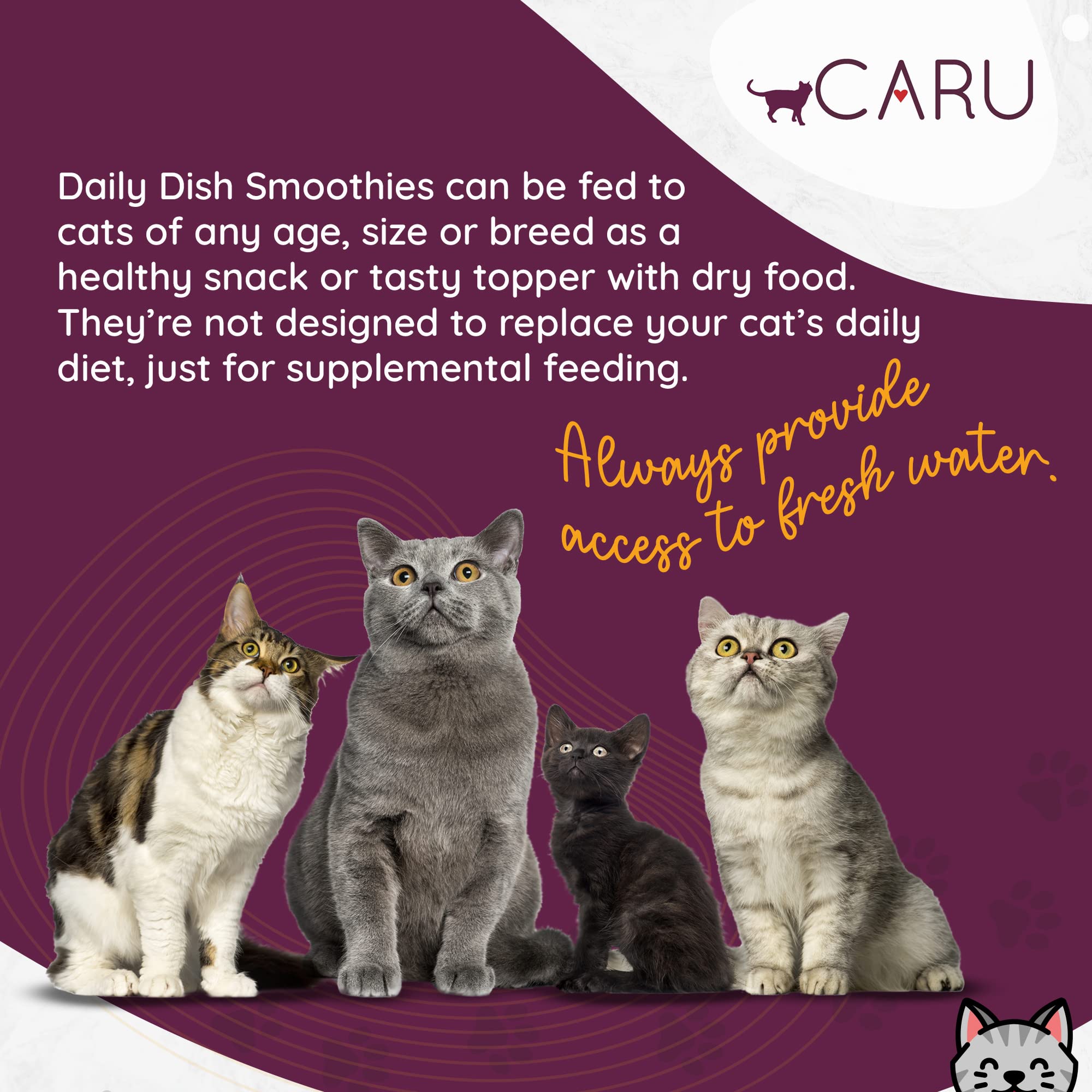 CARU Daily Dish verser-dans-bol-chat : servir facilement en repas ou topping.