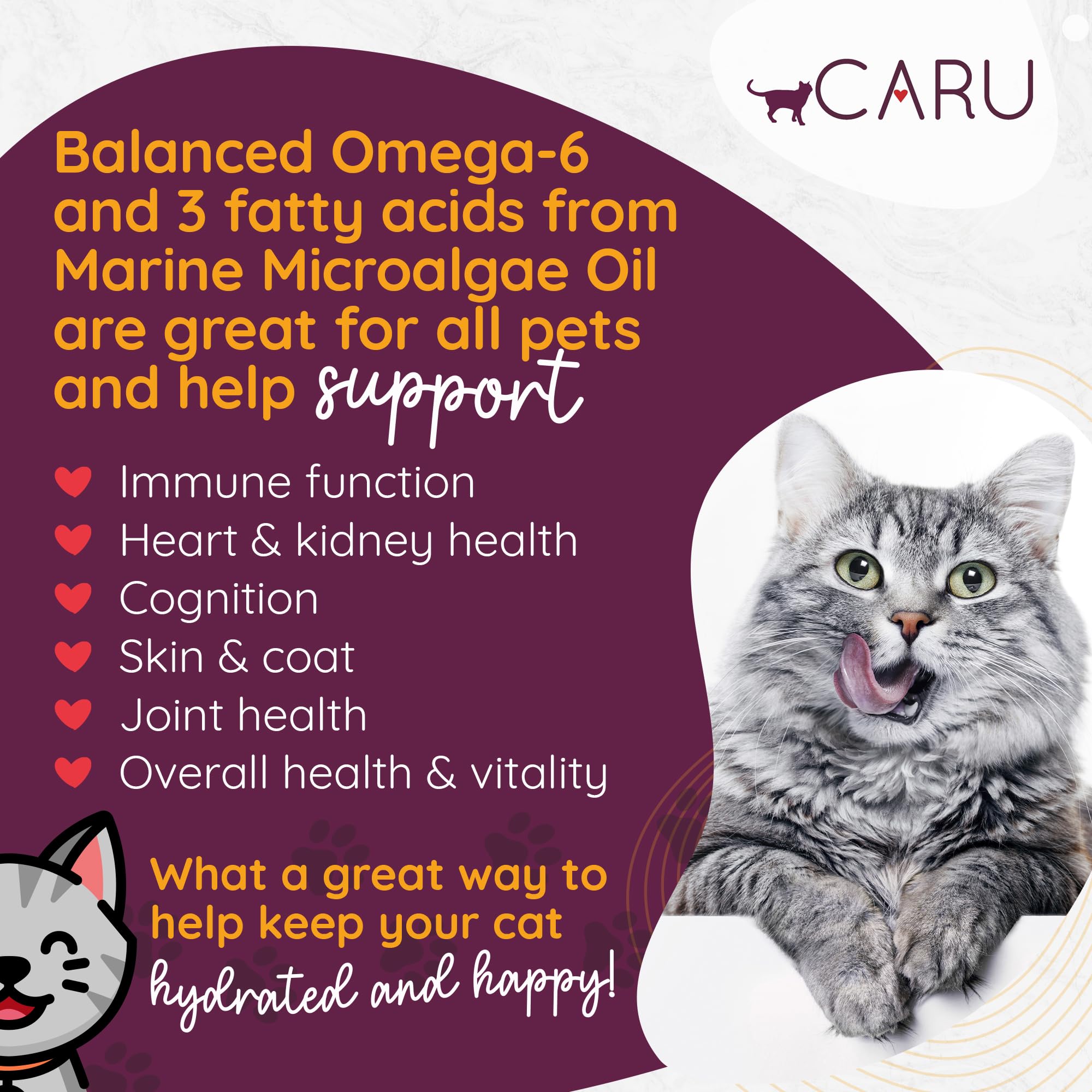 Caru ragout poulet chat bouillon savoureux pour les repas.
