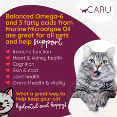 Caru ragout poulet chat bouillon savoureux pour les repas.