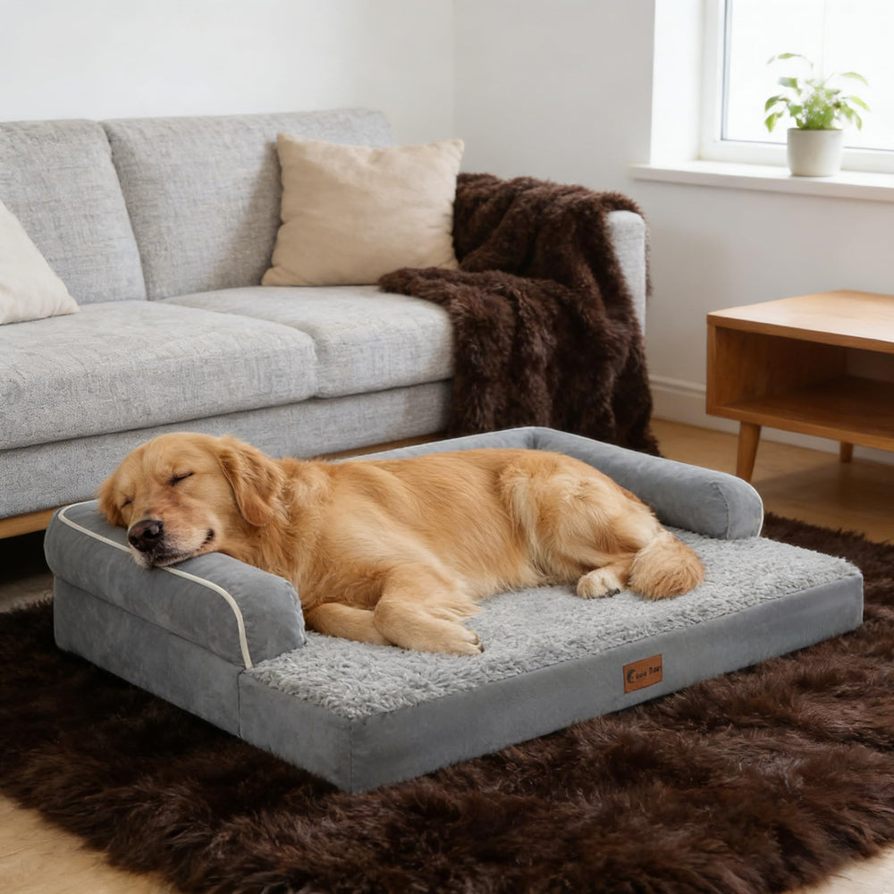 Bords rembourrés Casa Paw pour un soutien latéral confortable.