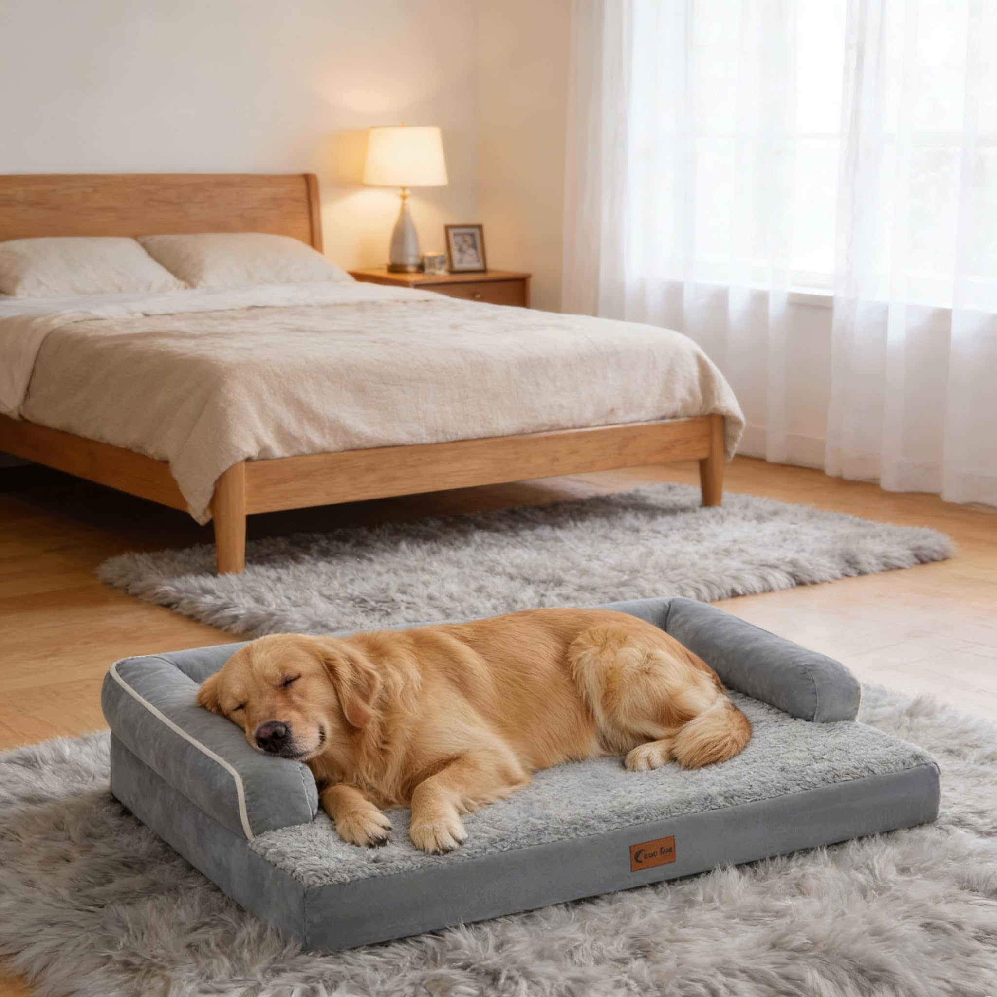 Déballage Casa Paw: expansion jusqu’à 45x35 po.