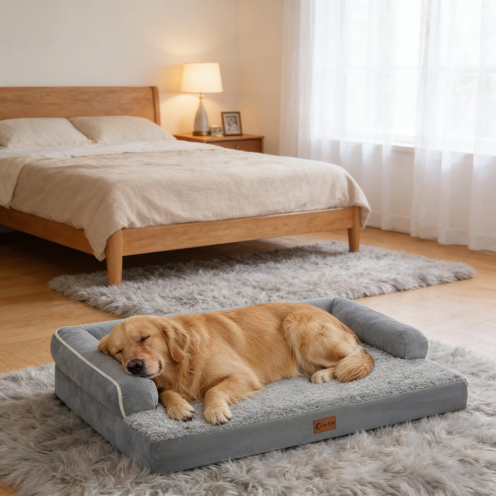 Déballage Casa Paw: expansion jusqu’à 45x35 po.