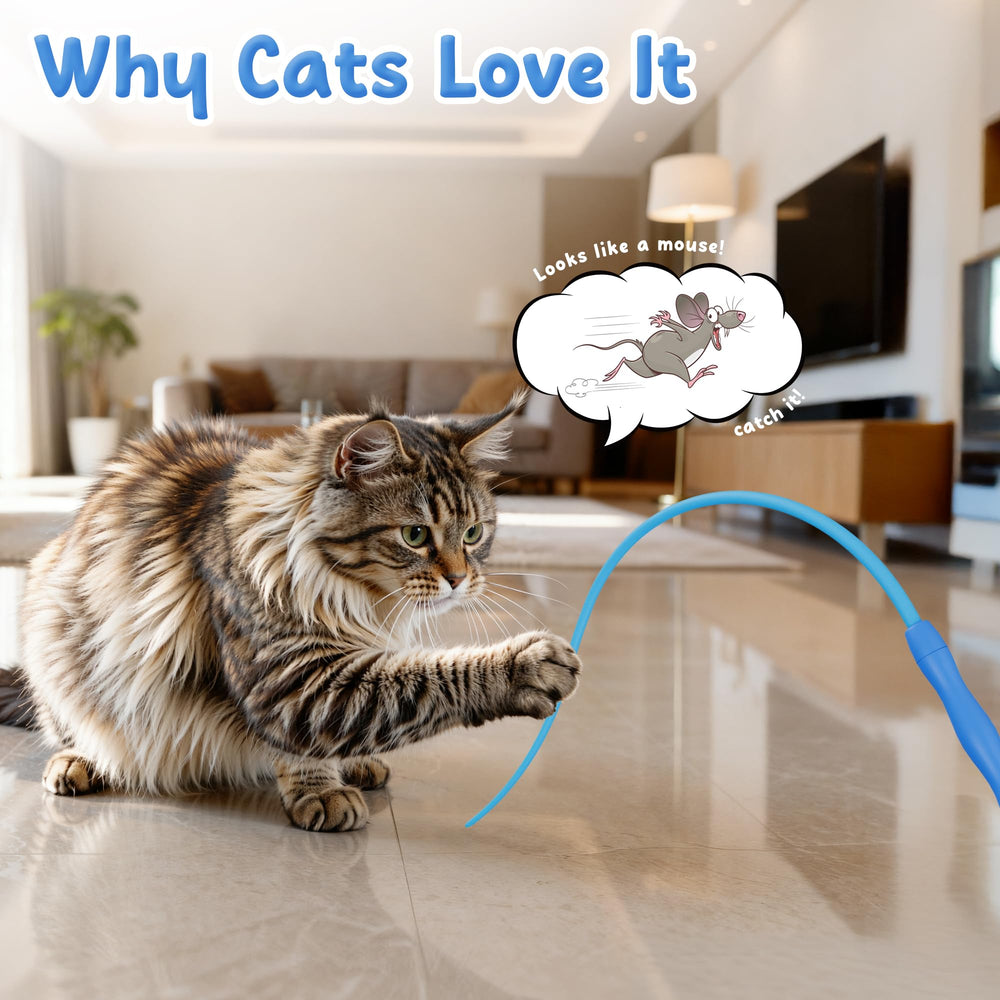 Bâton teaser Casfuy en silicone, exercice physique pour chat énergique.