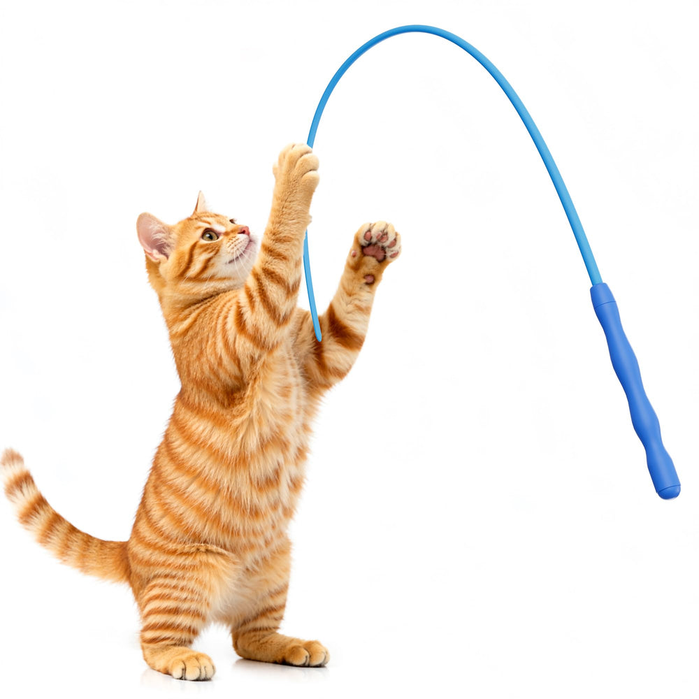 Casfuy bâton teaser en silicone pour chat, stimulation interactive et sûre.