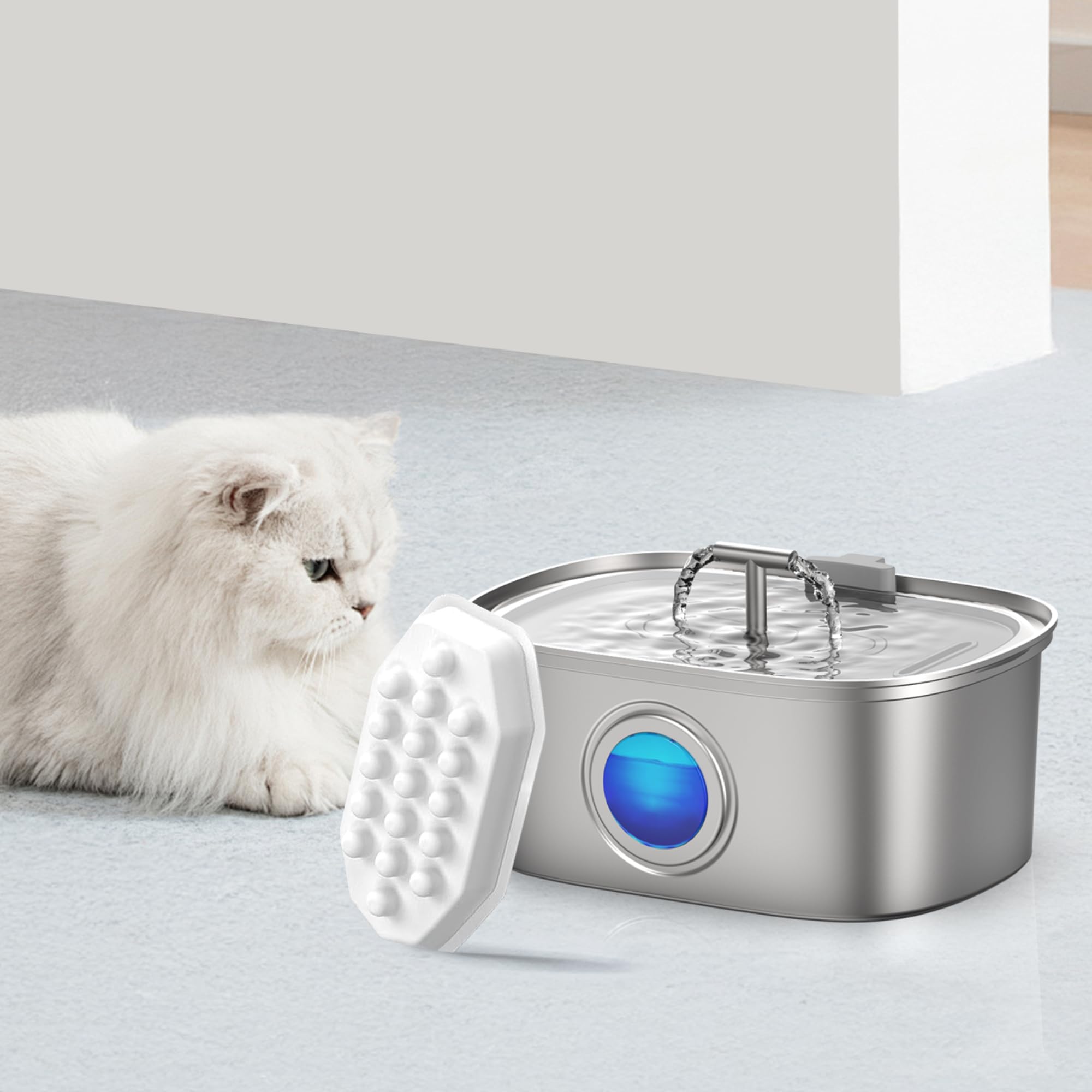 Hydratation optimale: eau Casfuy fontaine chat favorise boire plus volontiers.
