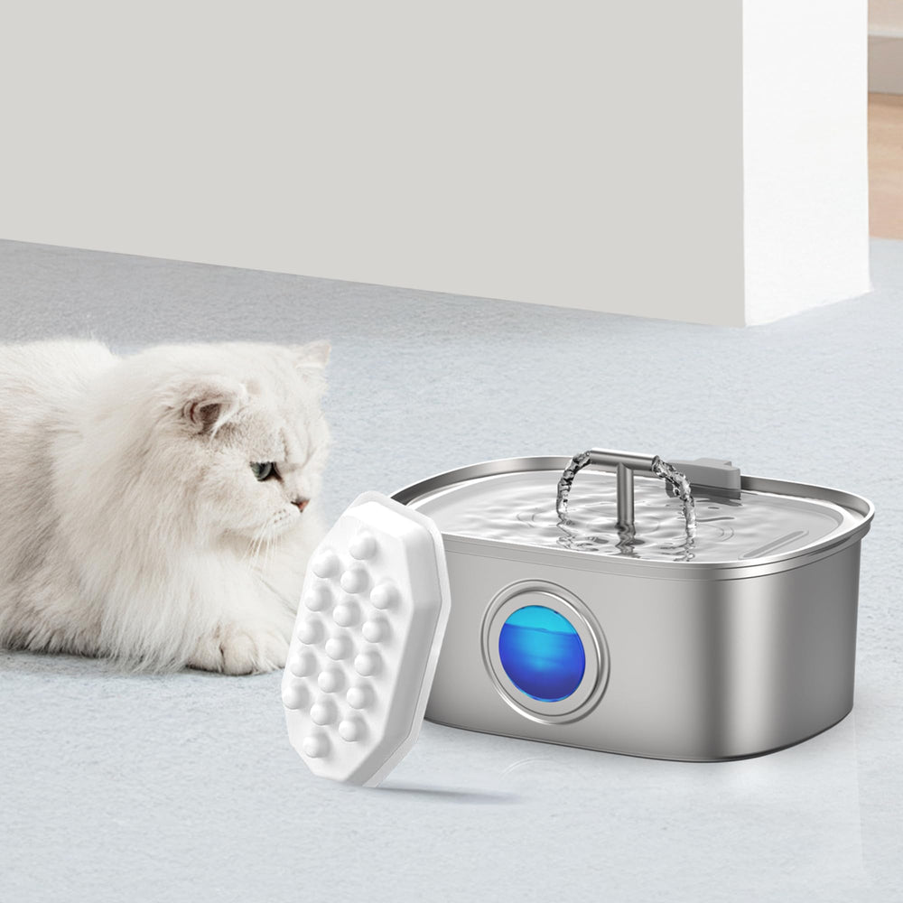 Hydratation optimale: eau Casfuy fontaine chat favorise boire plus volontiers.