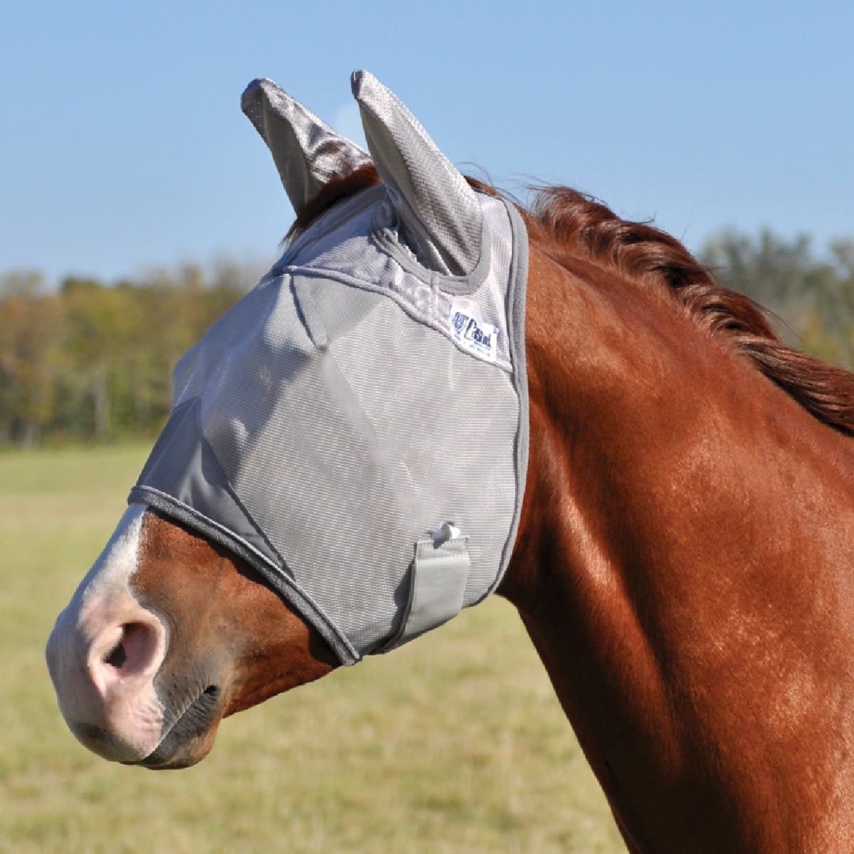 Cashel Crusader masque anti-mouches avec oreilles – vue avant, protection efficace contre les insectes