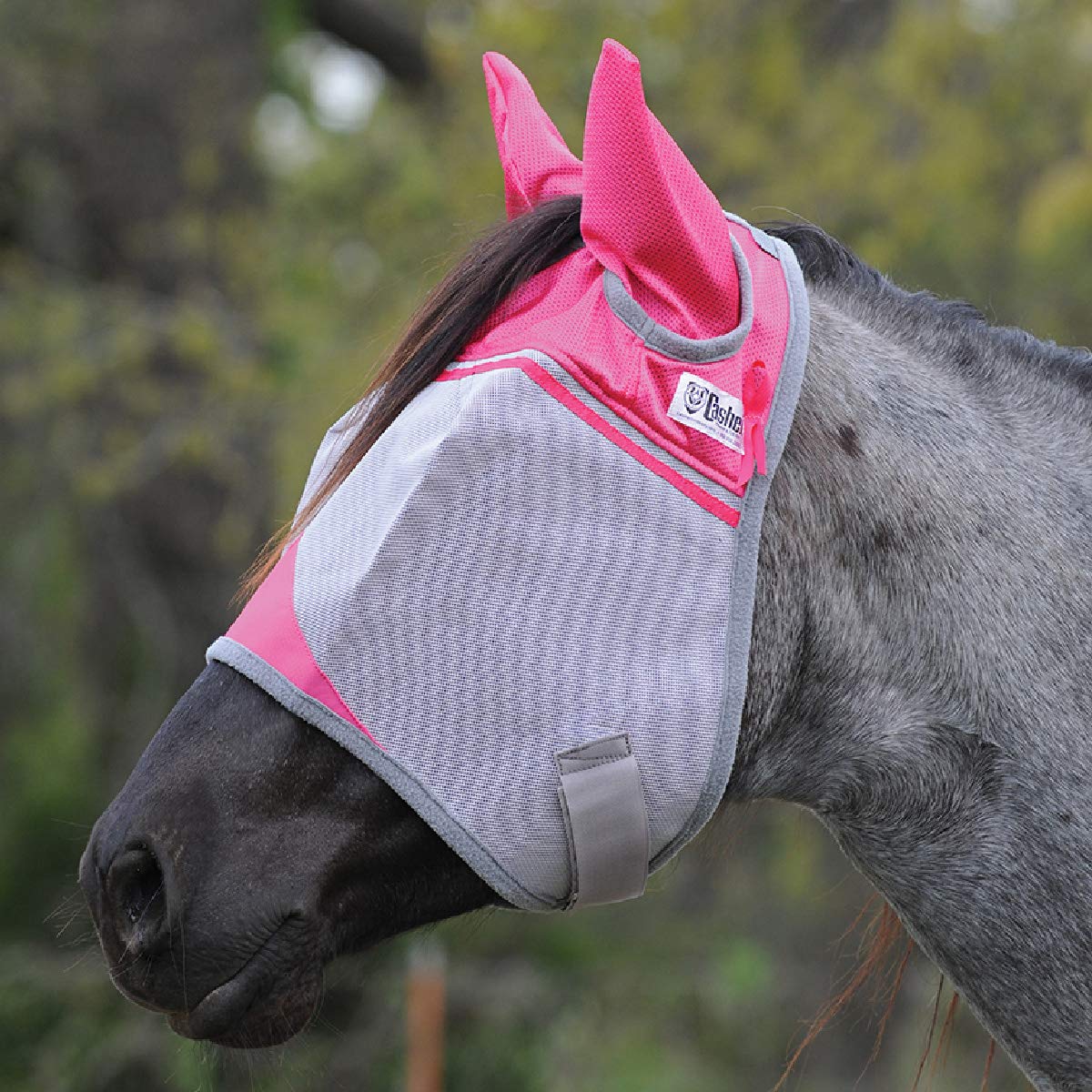 Cashel Crusader, protection ultraviolette jusqu'à 70% pour longues sorties.