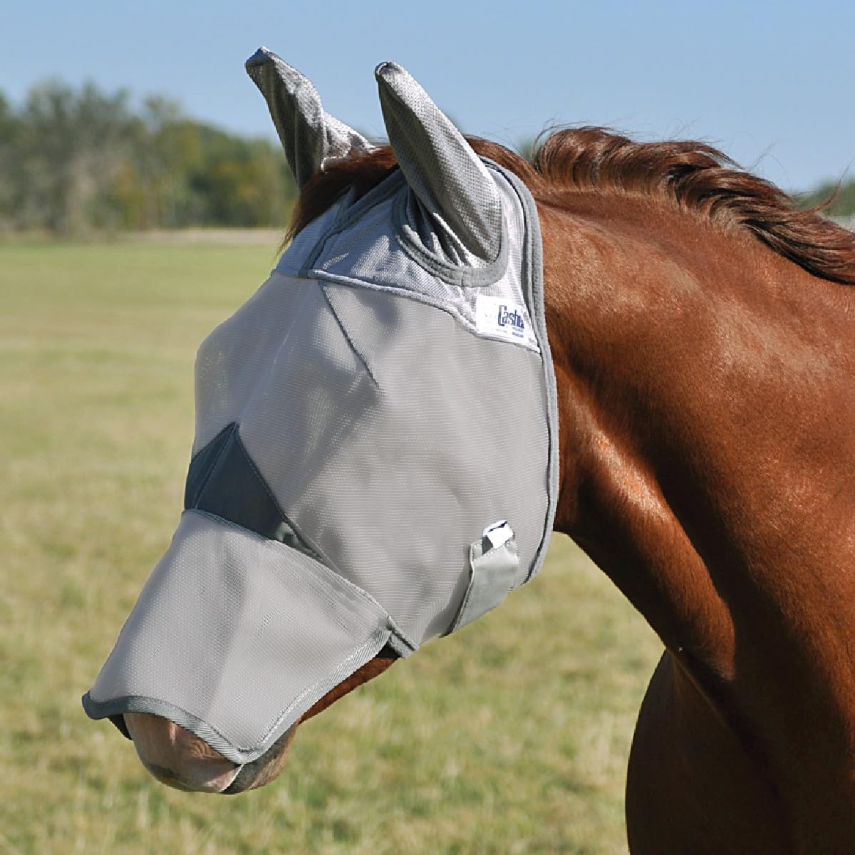 Cashel Crusader pour poulain, masque mouches nez-long oreilles gris