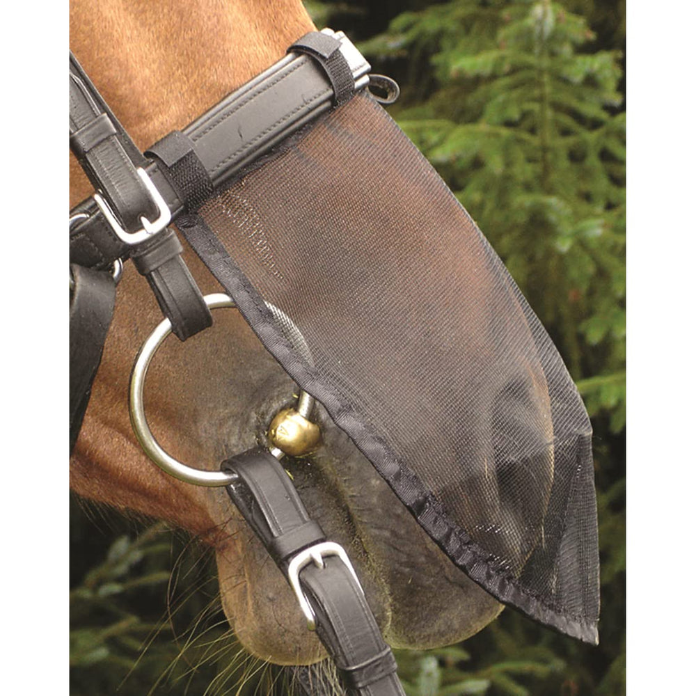 Cashel filet nasal L sur cheval, maintien fiable lors des sorties