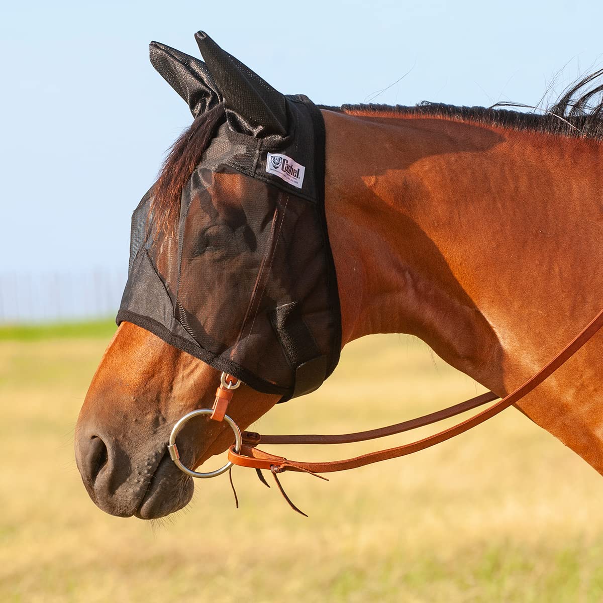 Cashel Quiet Ride masque anti-mouches pour cheval avec oreilles, offrant une protection et une vue dégagée.