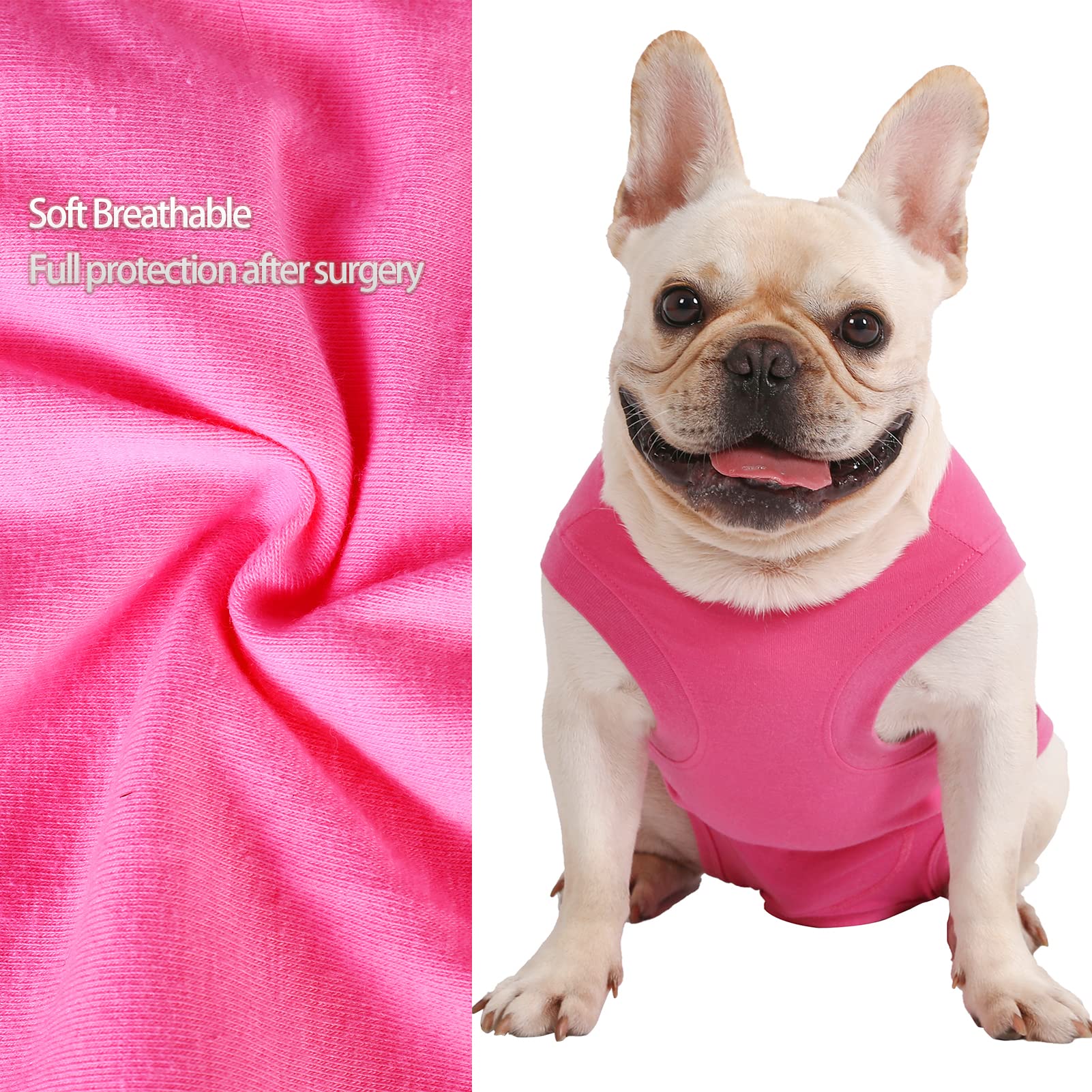 Caslfuca protection abdomen post chirurgie pour chien, sans retirer le vetement.