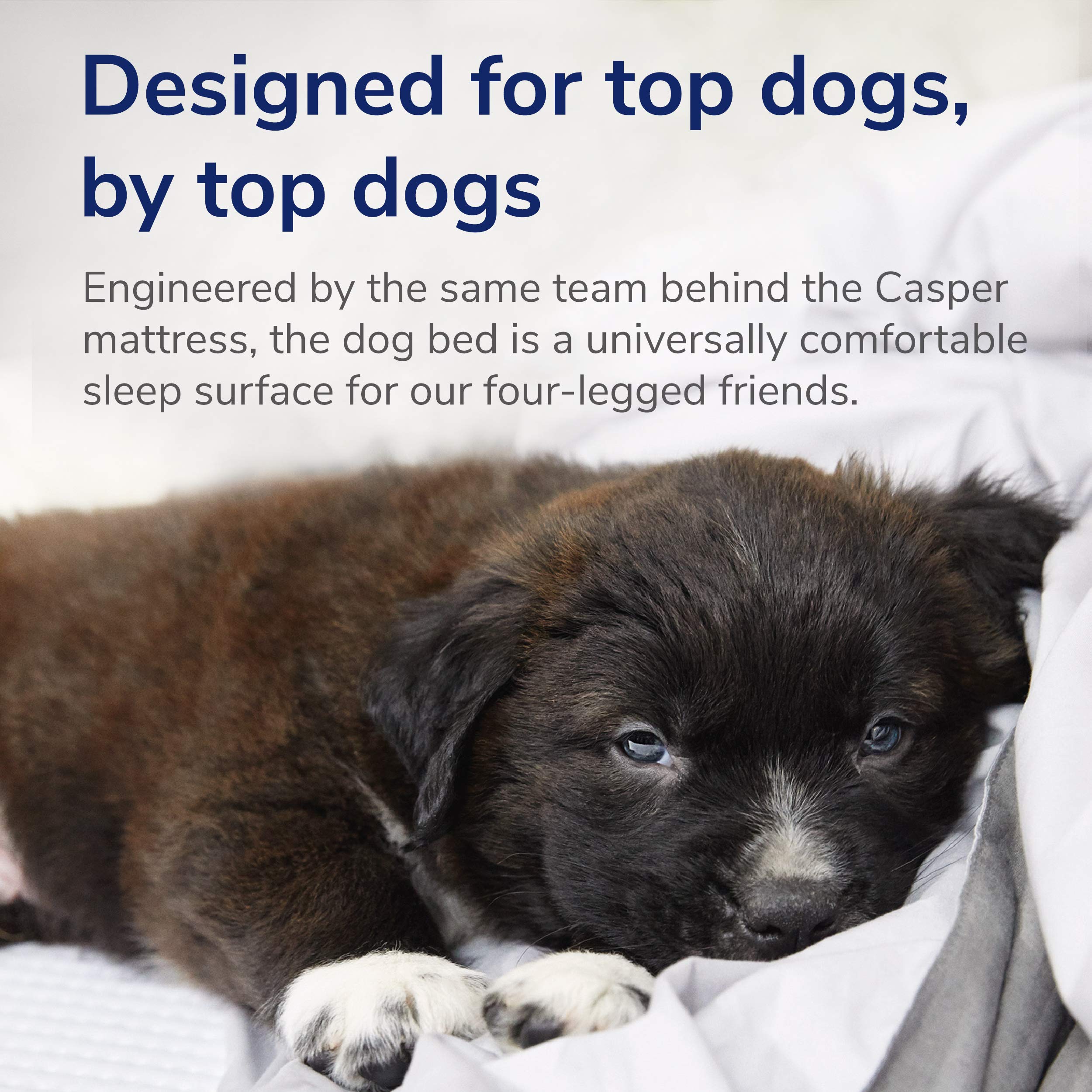Casper lit chien bleu taille médium adaptée aux chiens moyens, pour un repos optimal.