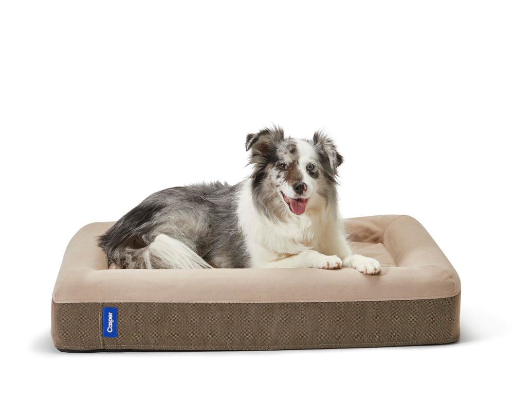 Lit Casper pour chien avec mousse mémoire, confort durable.