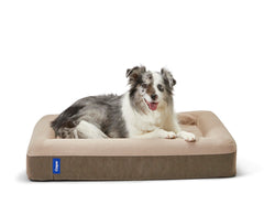 Lit Casper pour chien avec mousse mémoire, confort durable.