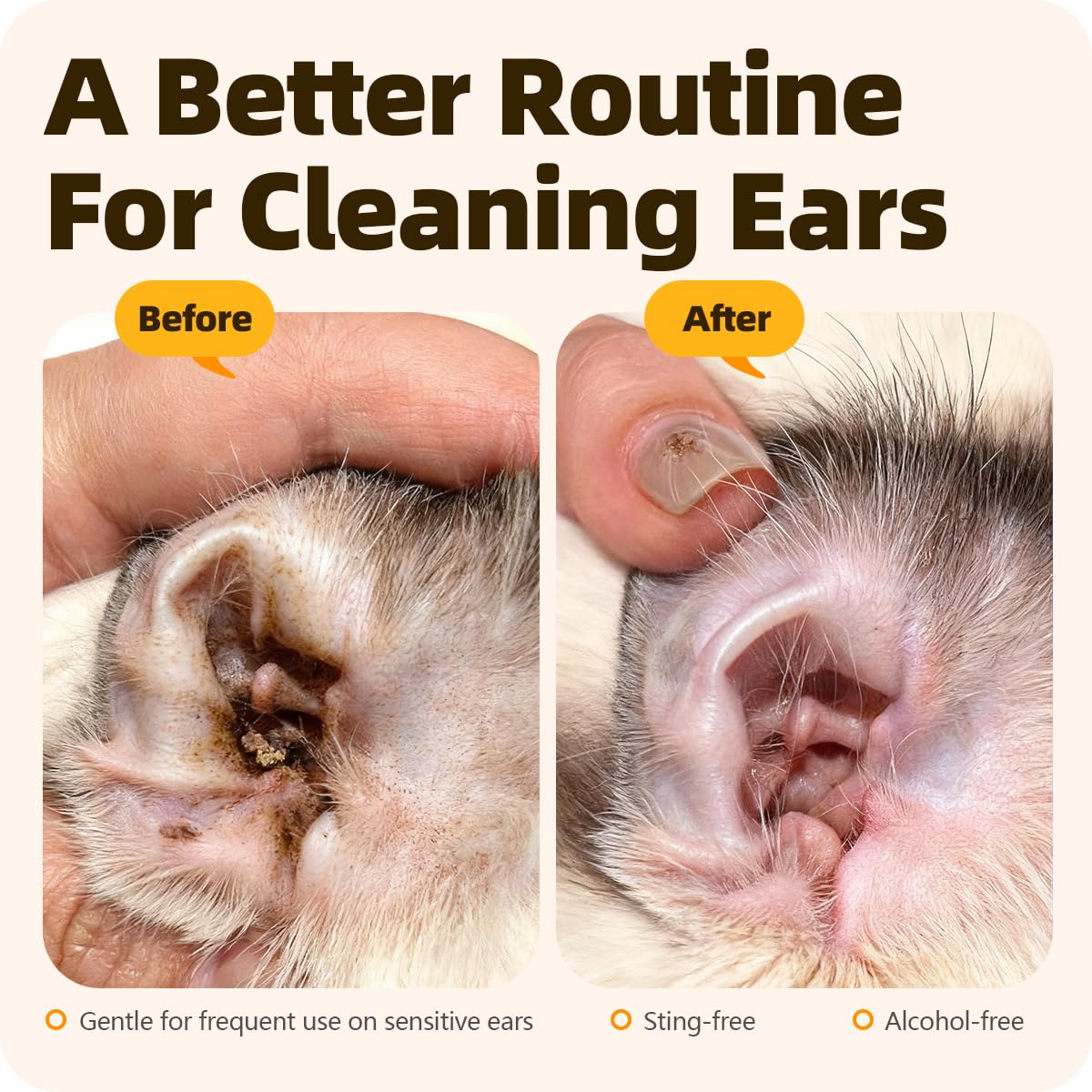 Application des gouttes pour chiens et chats.