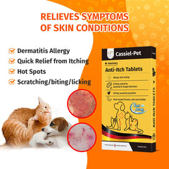 Cassiel pet Dog Allergy Relief Chews : close-up des bouchées, aide potentielle contre l'irritation.