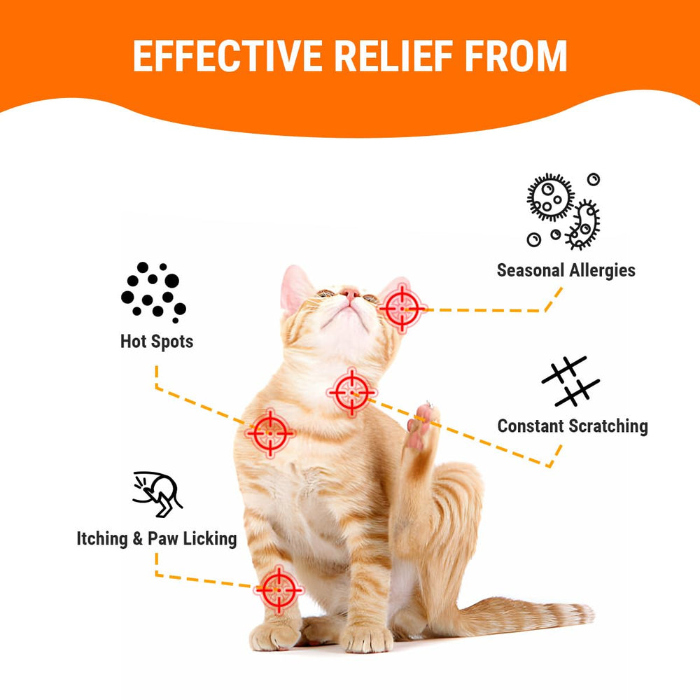 Cassiel pet Dog Allergy Relief Chews : patte apaisée après promenade, utilisation post-exercice.