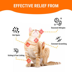Cassiel pet Dog Allergy Relief Chews : patte apaisée après promenade, utilisation post-exercice.
