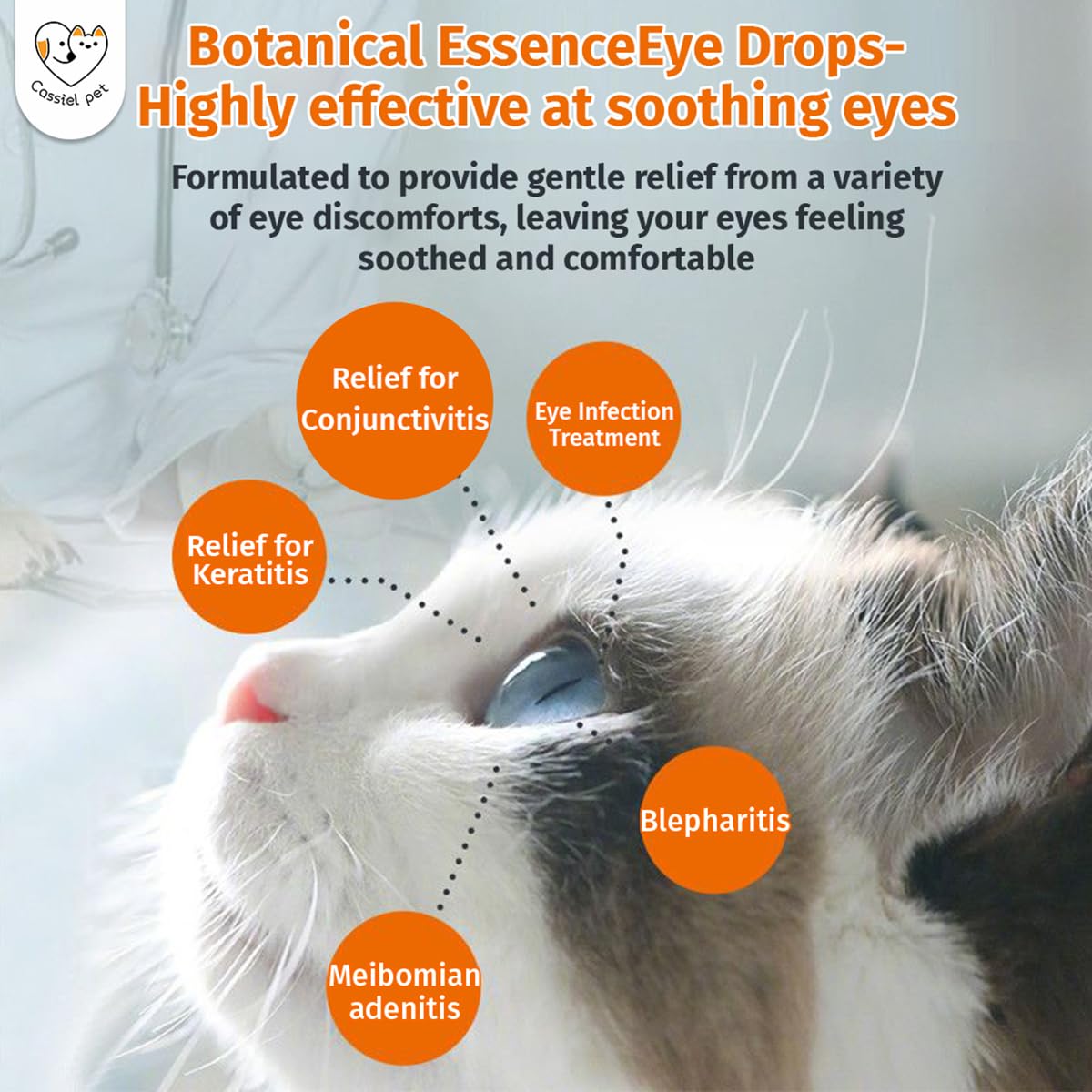 Yeux plus brillants et confortables après Cassiel Pet.