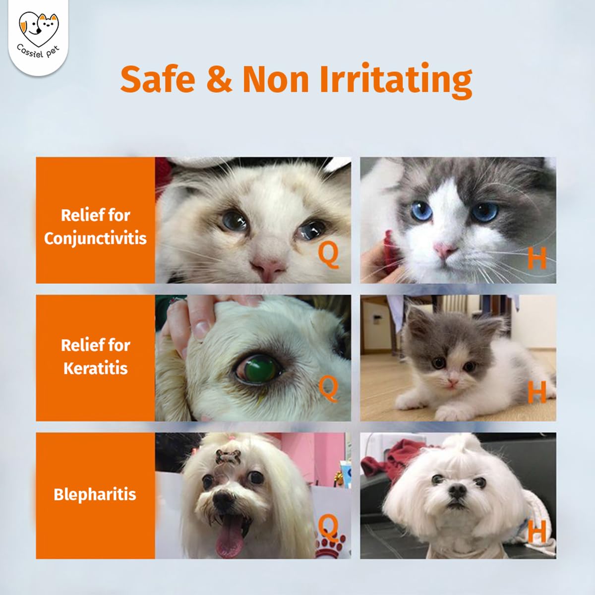Nettoyage des taches de larmes avec Cassiel Pet.