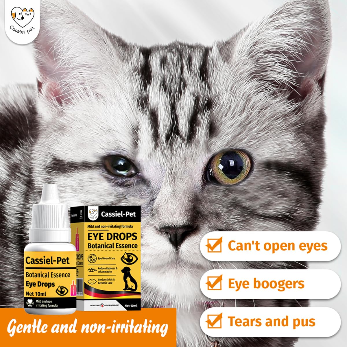 Soin des yeux Cassiel Pet pour allergie et irritation, utilisation quotidienne.