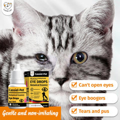 Soin des yeux Cassiel Pet pour allergie et irritation, utilisation quotidienne.