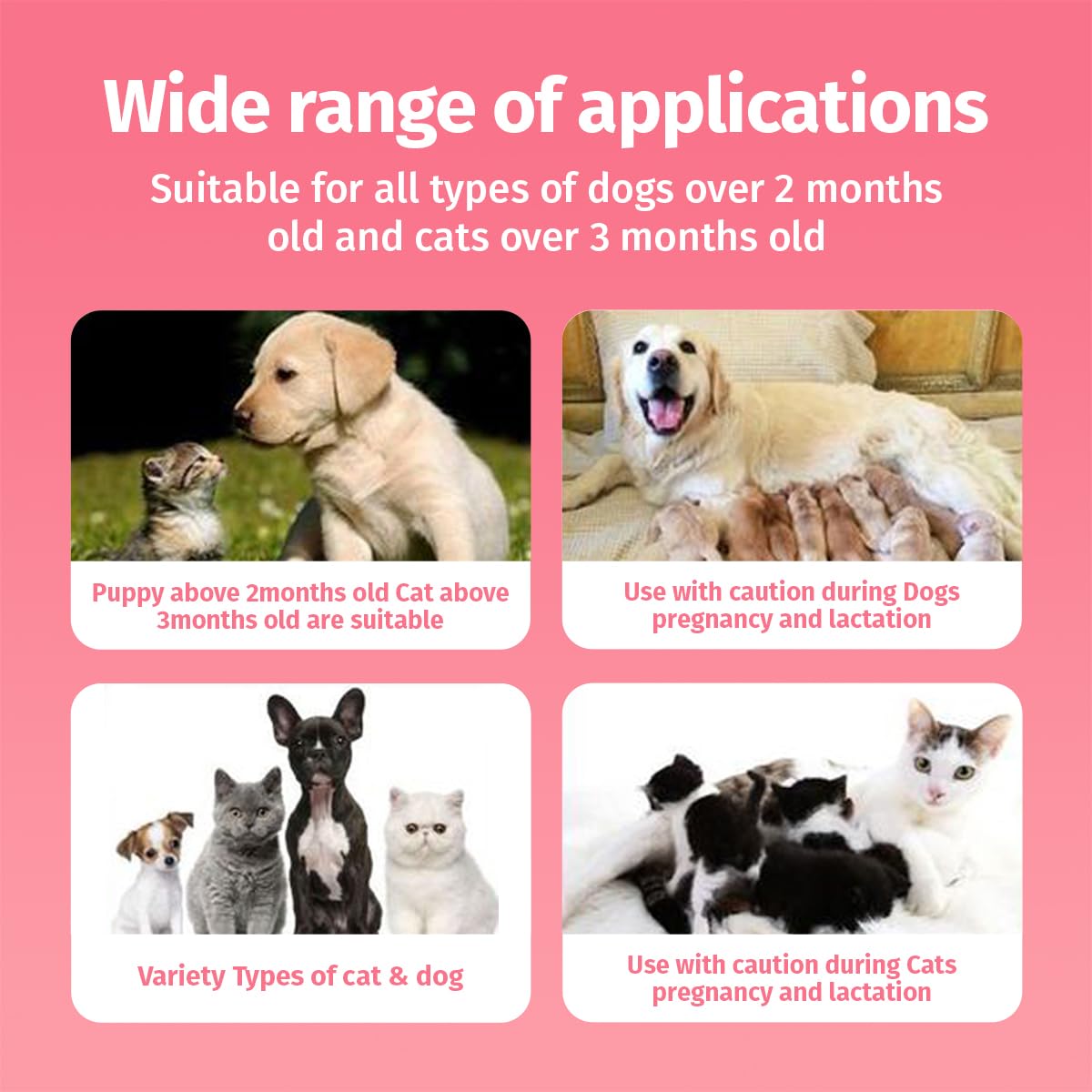 Cassiel pet solution-naturelle-peau – soins doux à base d'ingrédients naturels