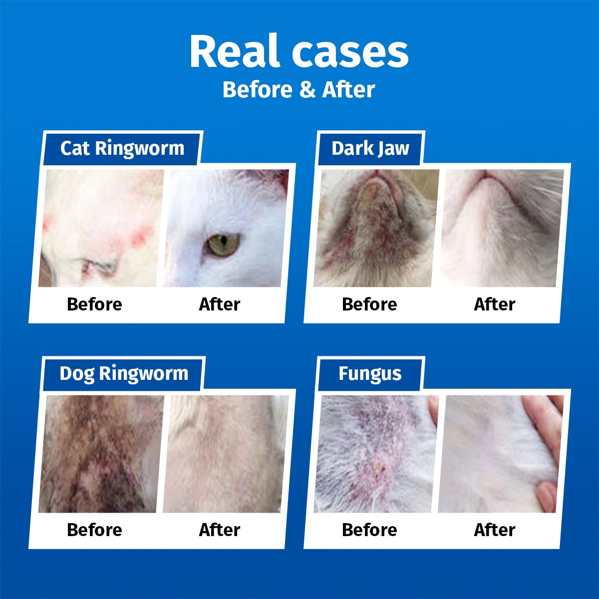 Cassiel pet spray apaisant peau, utilisé sur zones sensibles des chiens et chats.