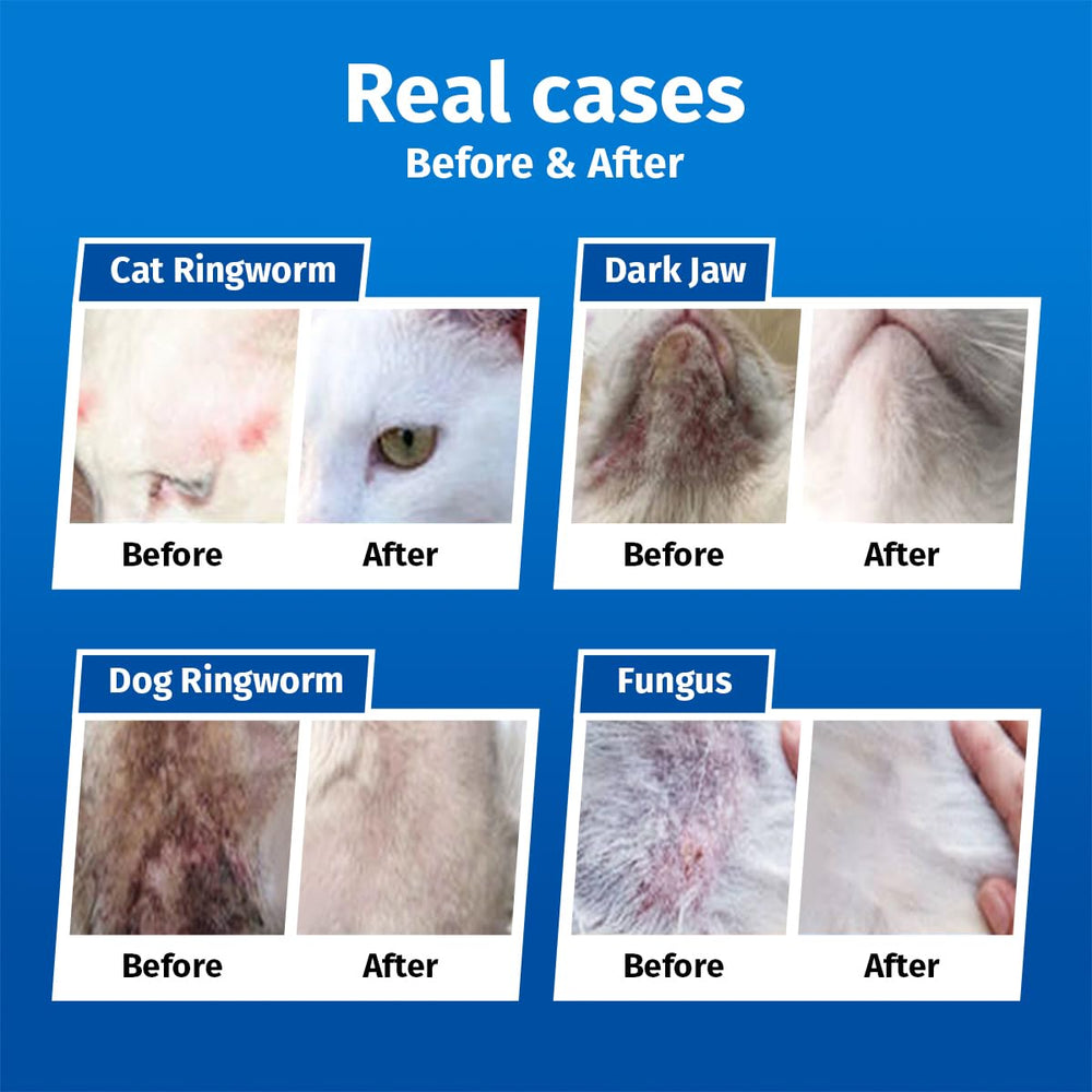 Cassiel pet spray apaisant peau, utilisé sur zones sensibles des chiens et chats.