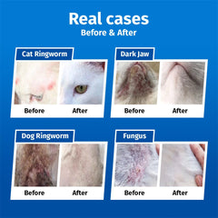 Cassiel pet spray apaisant peau, utilisé sur zones sensibles des chiens et chats.