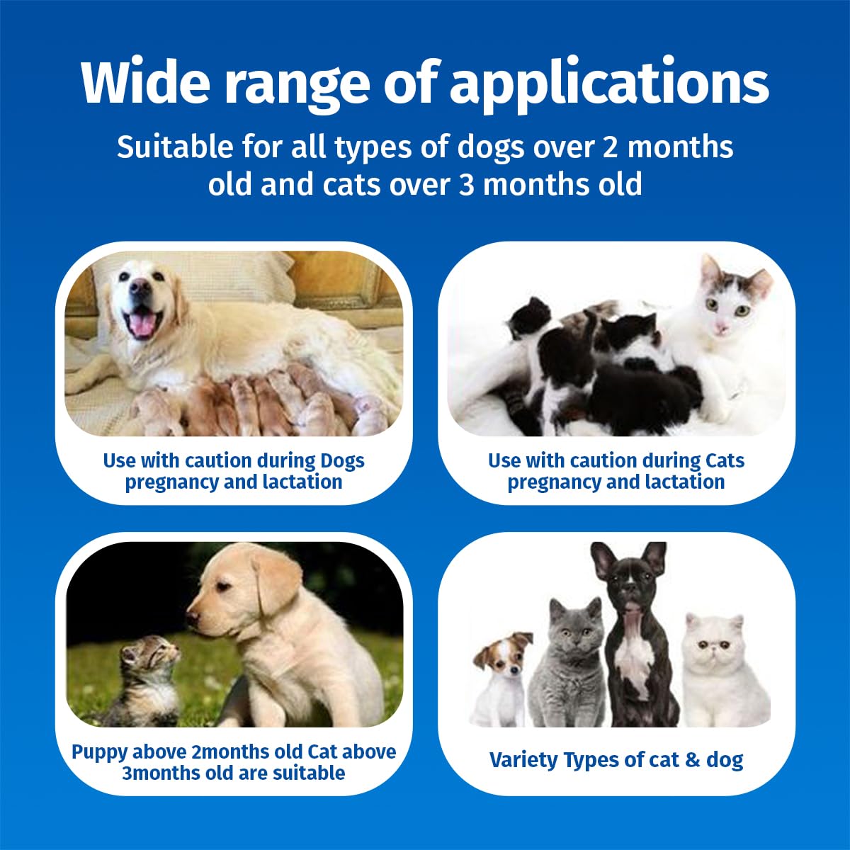 Cassiel pet spray application rapide sur zone irritée chien chat.
