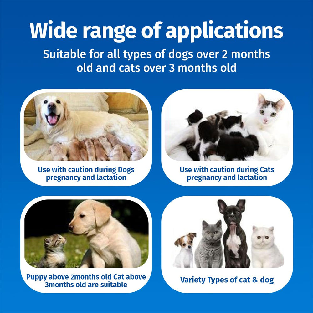 Cassiel pet spray application rapide sur zone irritée chien chat.
