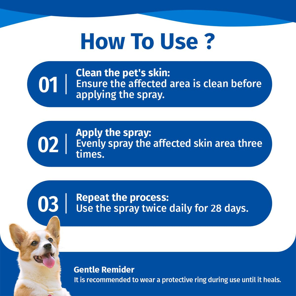 Cassiel pet spray utilisation quotidienne, facile à appliquer sur les zones concernées.