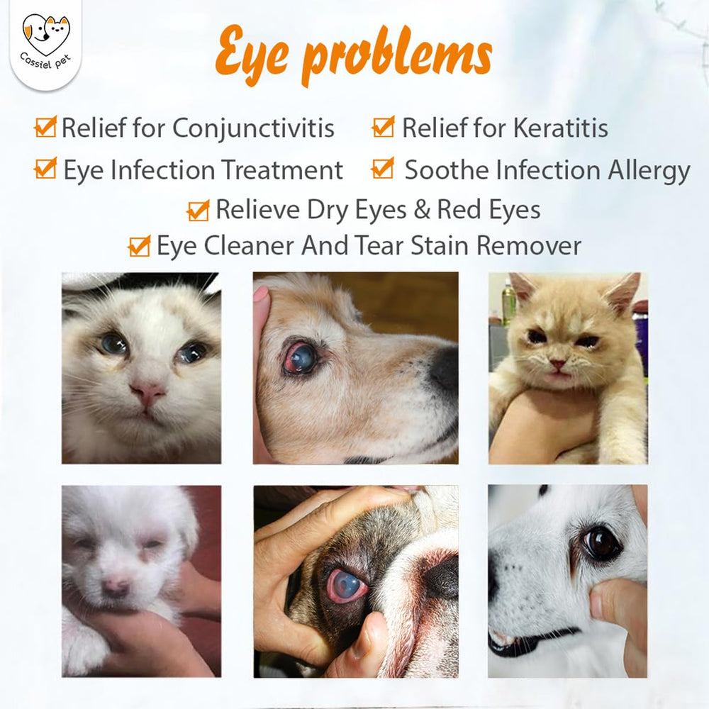 Hydratation des yeux avec Cassiel Pet pour yeux secs chez animaux.