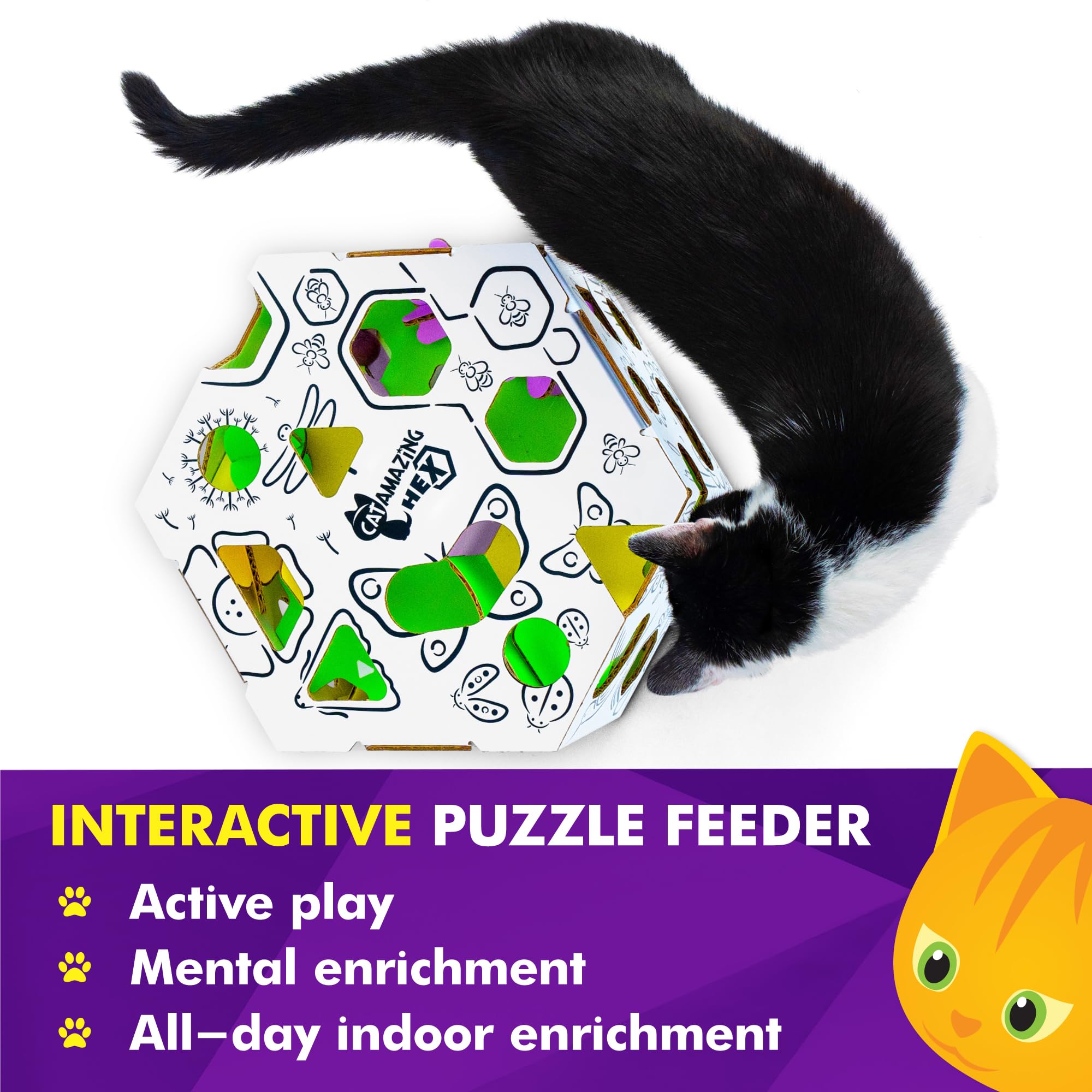 Cat Amazing HEX – cadeau durable et sûr pour chats d’intérieur, assemblage nécessaire