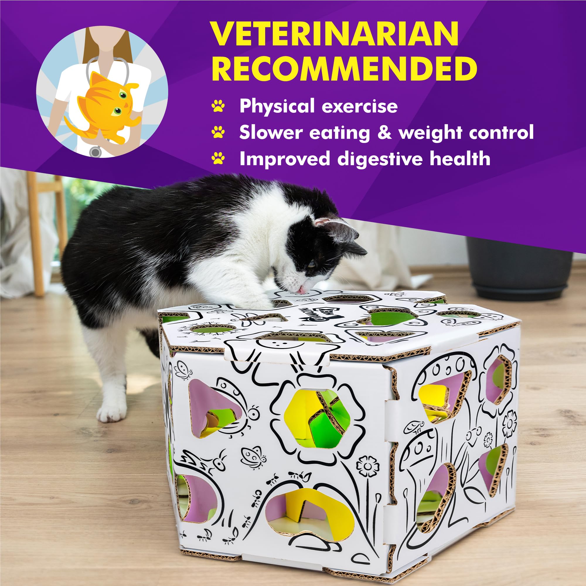 Cat Amazing HEX – jeu stimulant favorise l’exercice mental et la prise de décision