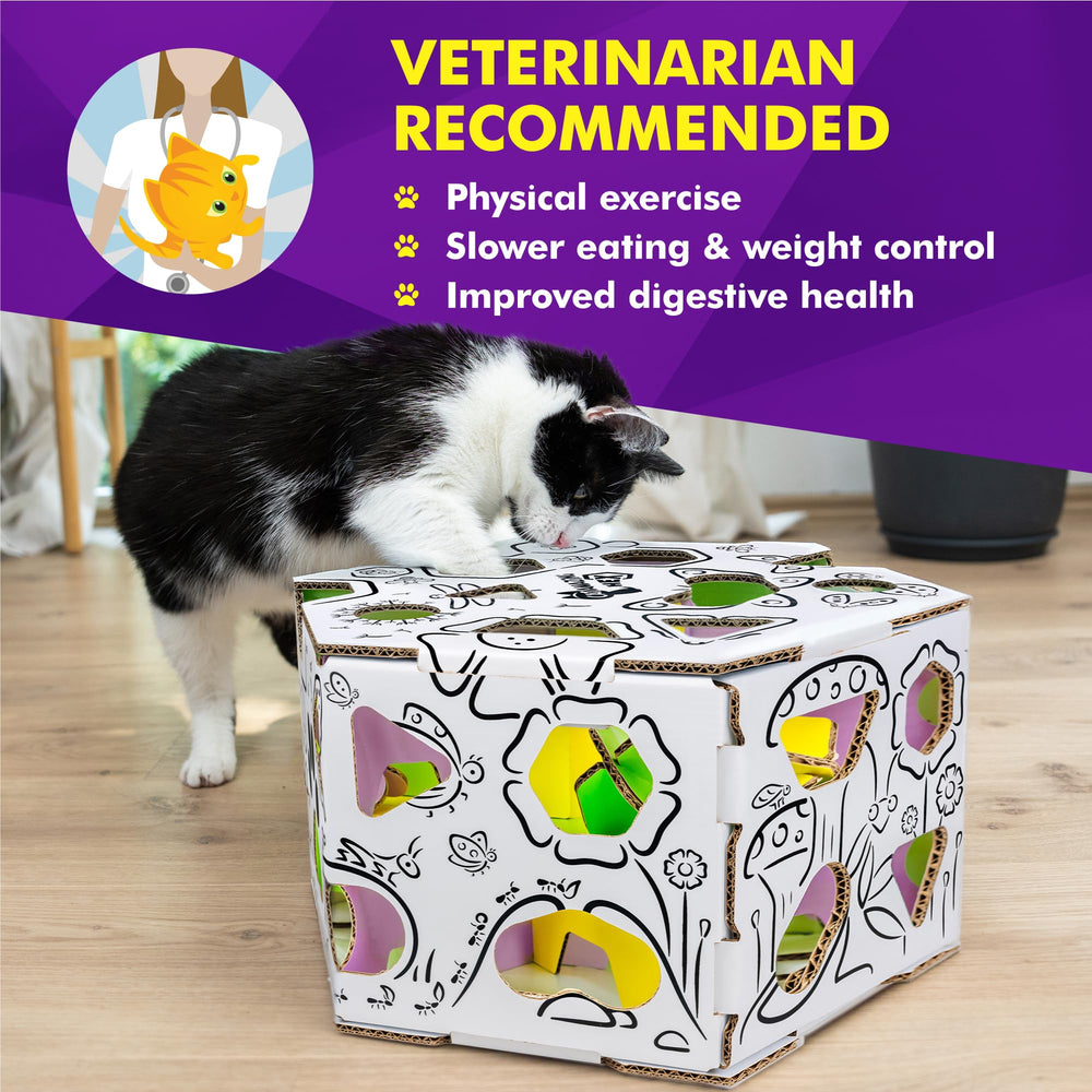 Cat Amazing HEX – jeu stimulant favorise l’exercice mental et la prise de décision
