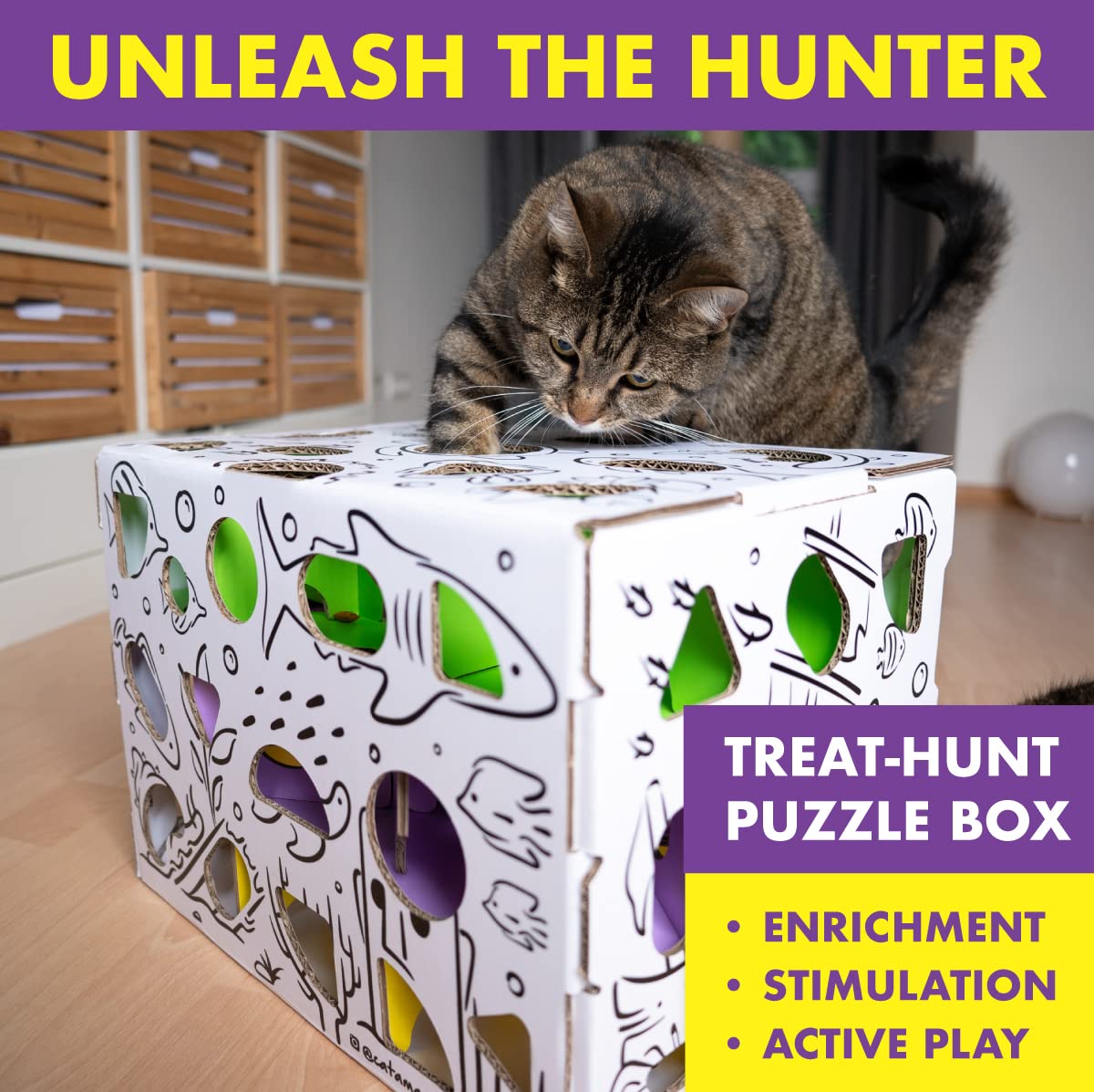 Cat Amazing MEGA: chat en action pendant le jeu stimulant