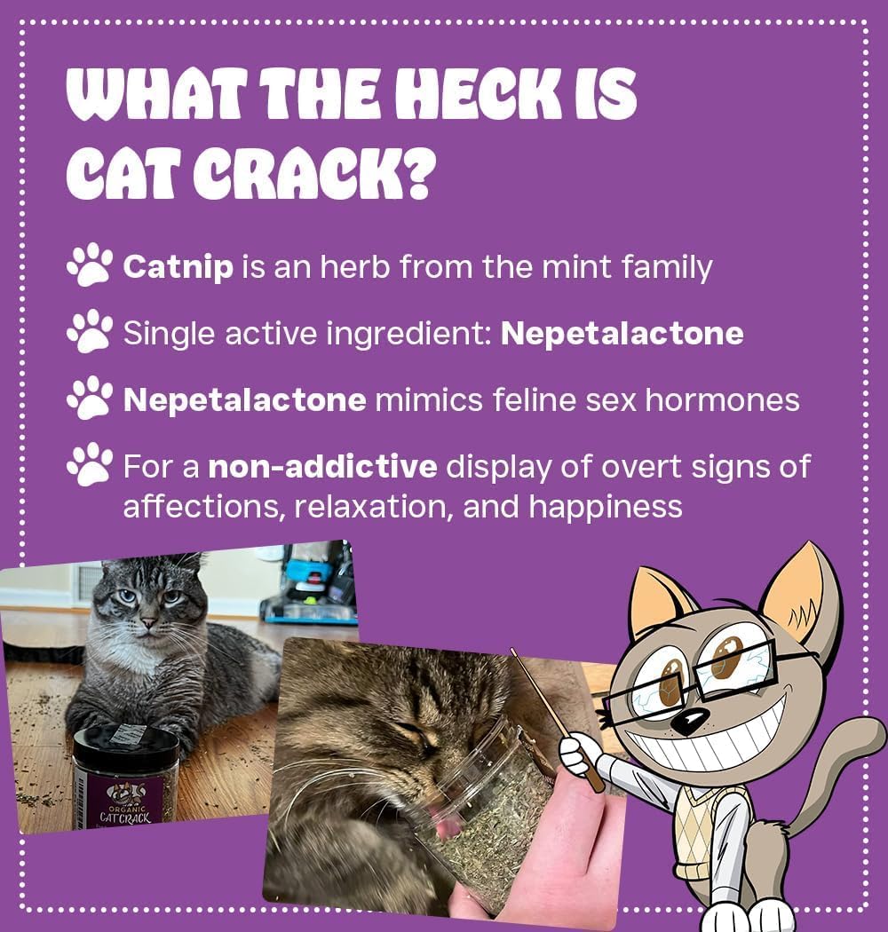 Cat Crack Catnip Emballage Hermetique: fraîcheur préservée pour sessions fréquentes.