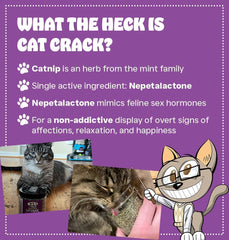 Cat Crack Catnip Emballage Hermetique: fraîcheur préservée pour sessions fréquentes.